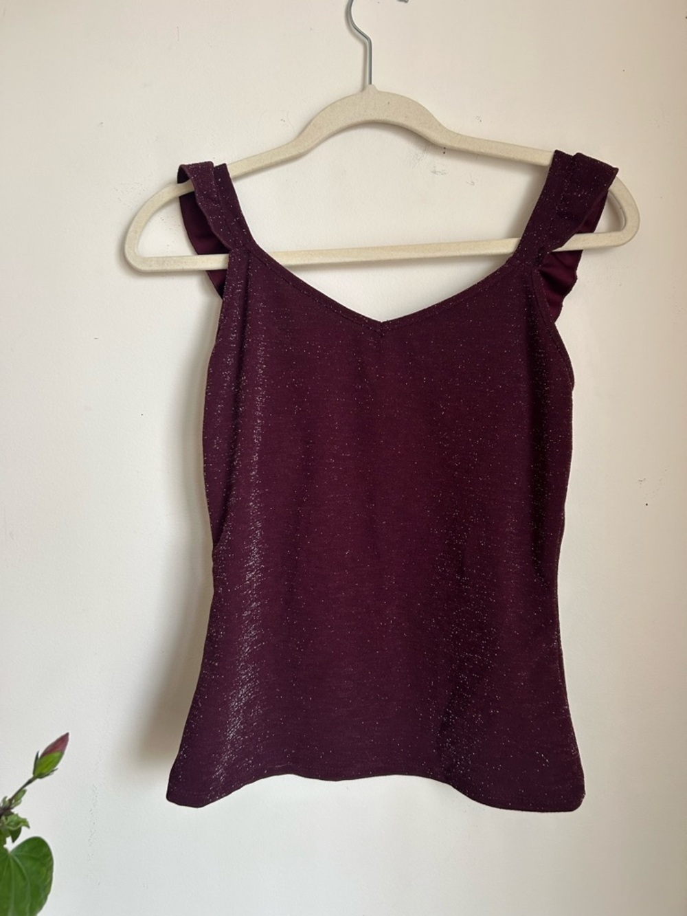 Suzy sheir V-Neck Top in Deep Plum